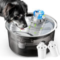 2.6Gal/10L Dog Water Fountain for Dogs & Cats & Multiple Pets-0